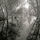 Silent Echo